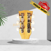 DRYER GITAR ACCOUSTIC (AG577)