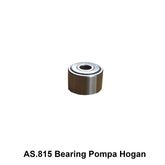BEARING POMPA HOGAN