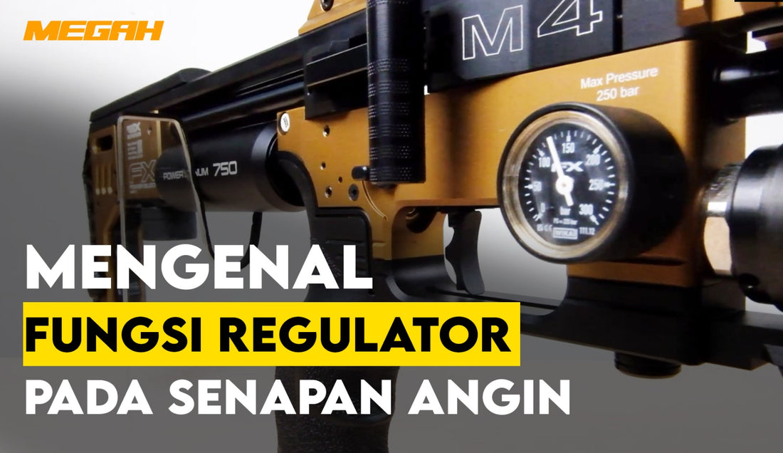 MENGENAL FUNGSI REGULATOR PADA SENAPAN ANGIN