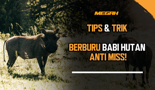 Tips & Trik Berburu Babi Hutan Anti Miss!