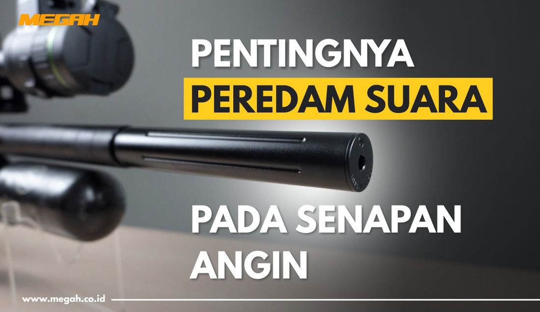 Mengapa Peredam Suara pada Senapan Angin Penting?