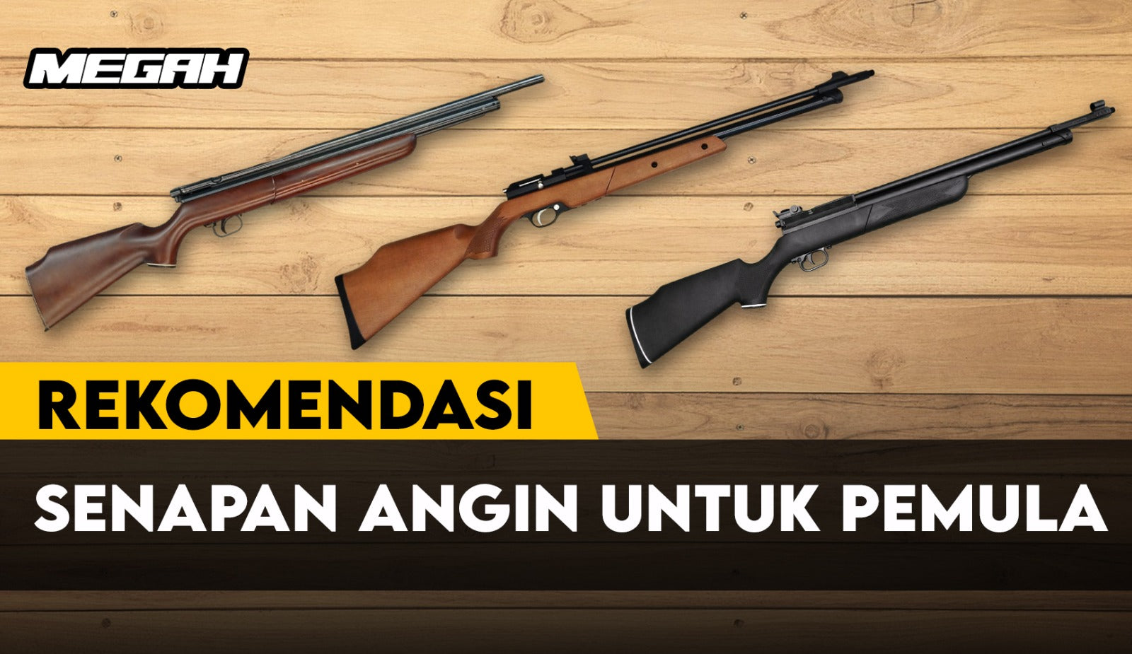 REKOMENDASI SENAPAN ANGIN UNTUK PEMULA