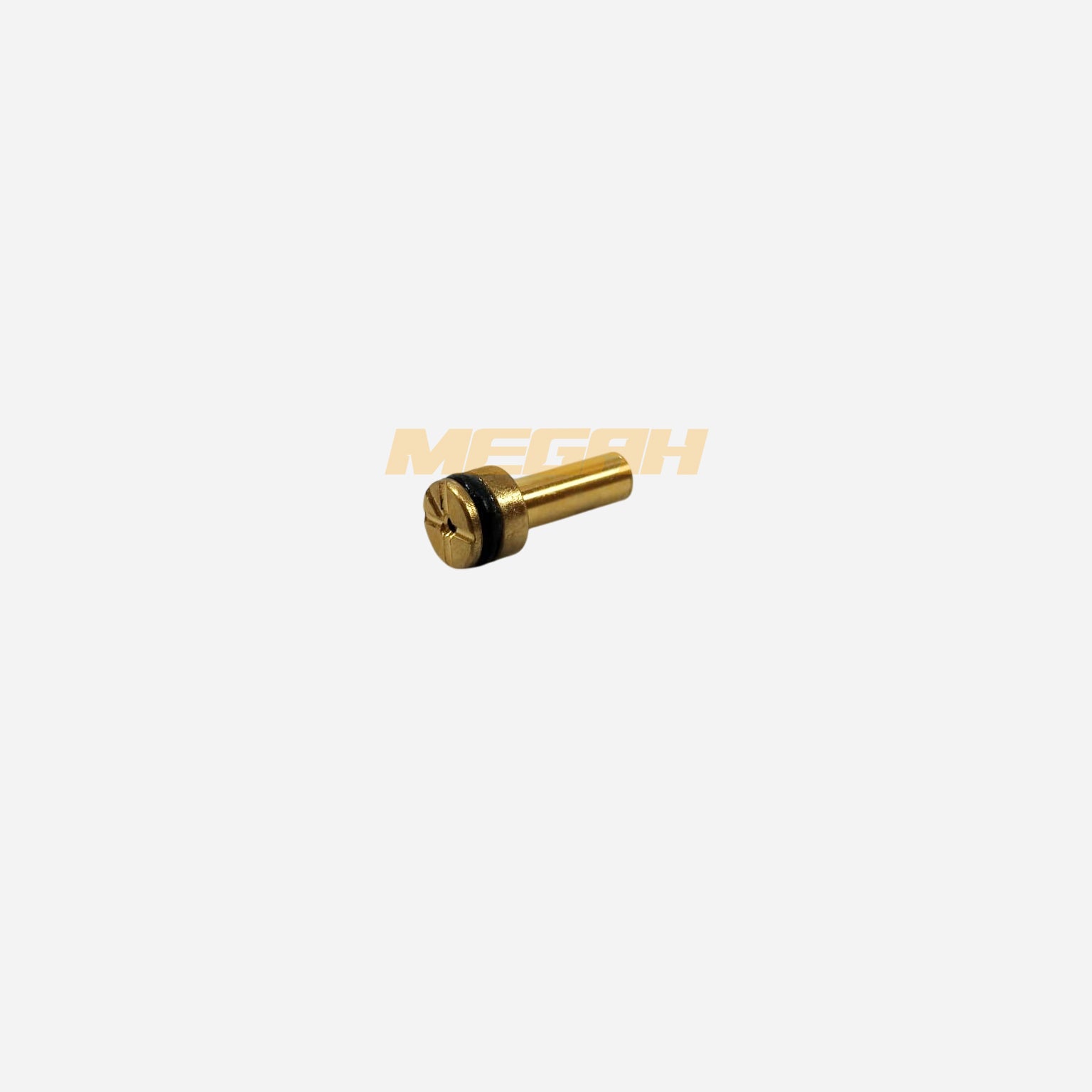 REPAIR KIT REGULATOR FX