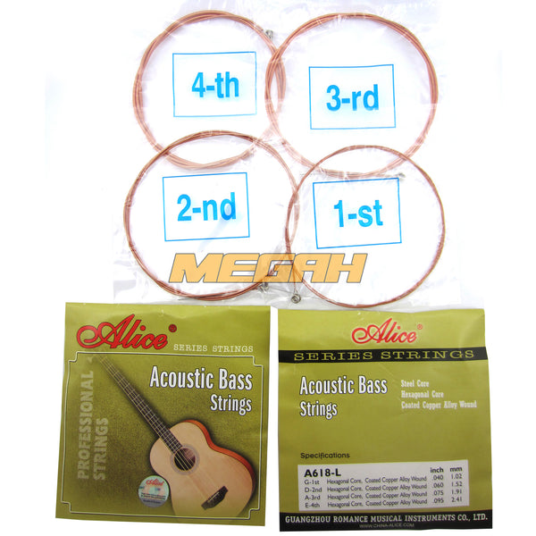 SENAR ALICE AKUSTIK BASS A618L (SG192) - Megah Sport