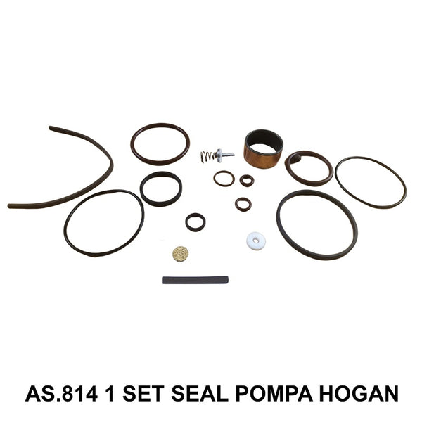 1 SET SEAL POMPA HOGAN