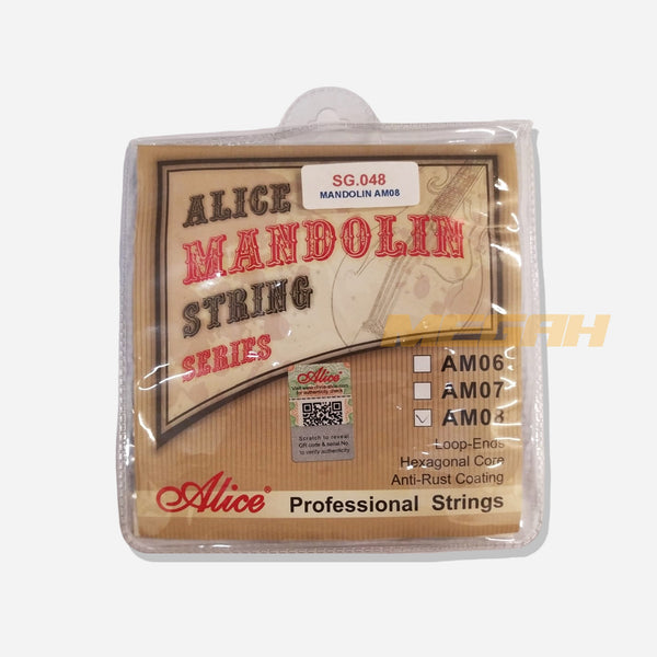 SENAR GITAR MANDOLIN ALICE AM08